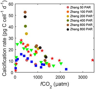 A Conceptual Model for Projecting Coccolithophorid Growth, Calcification and Photosynthetic Carbon Fixation Rates in Response to Global Ocean Change